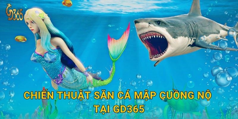 Chiến thuật săn Cá Mập Cuồng Nộ tại Gd365