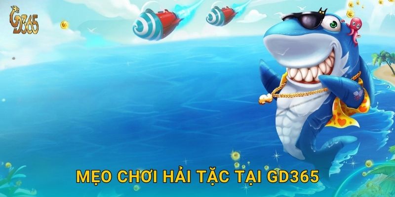 Mẹo chơi Hải Tặc tại Gd365