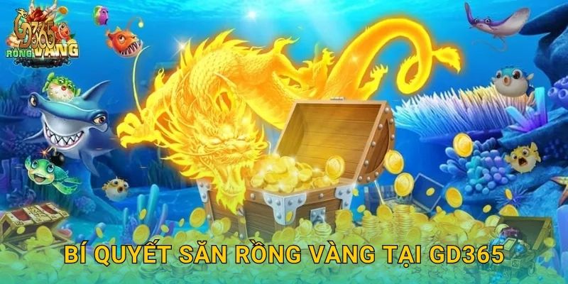 Bí quyết săn Rồng Vàng tại Gd365