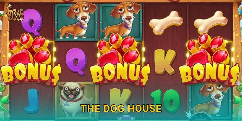 The Dog House – thế giới cún cưng may mắn tại Gd365