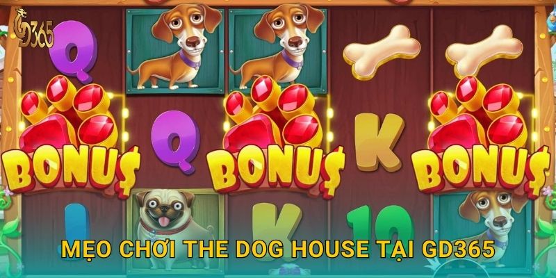 Mẹo chơi The Dog House tại Gd365