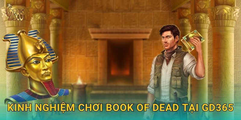 Kinh nghiệm chơi Book of Dead tại Gd365