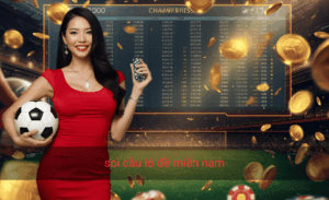 soi cầu lô đề miền nam